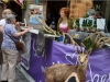 Salzkammergut-Flair am Linzer Hauptplatz 