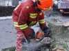 Spezialeinsatz FF Vorchdorf