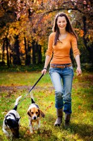 Gmunden: Gemeinde bittet um Einhaltung des OÖ. Hundehaltungsgesetzes